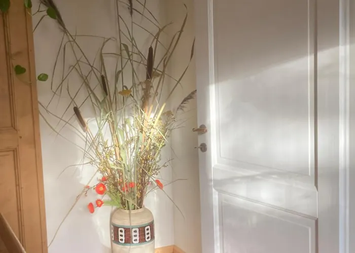 Zur Alten Zeder * Seyfrieds