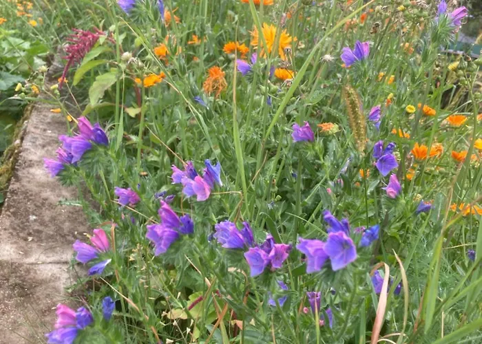 Zur Alten Zeder * Seyfrieds